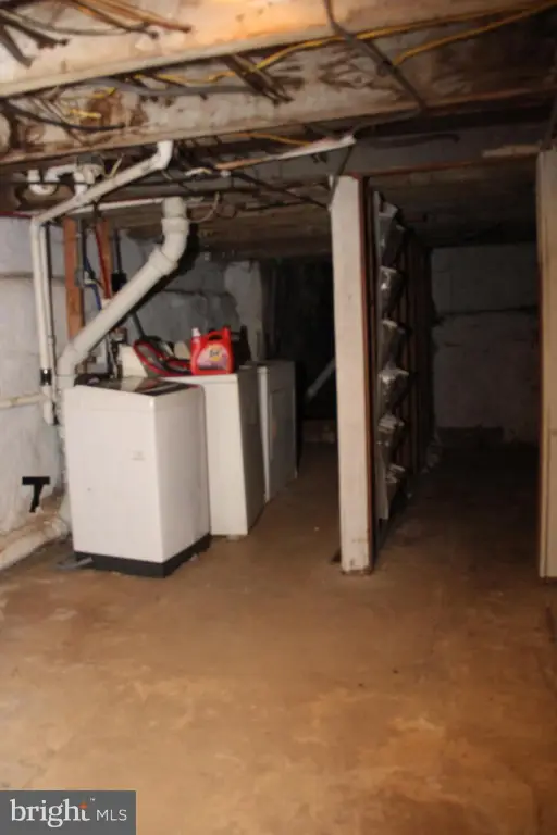 Picture 24