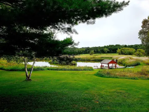 Recreational Land Near Yellowstone Lake