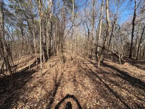 Cohutta Land For Sale