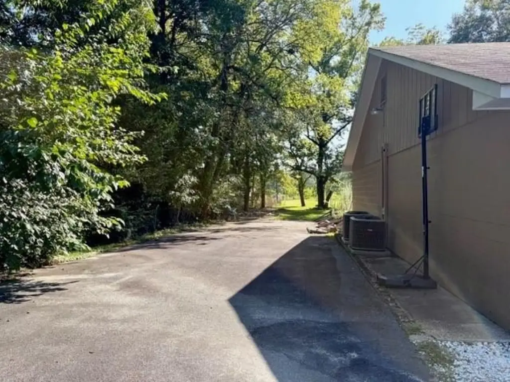 Picture 15