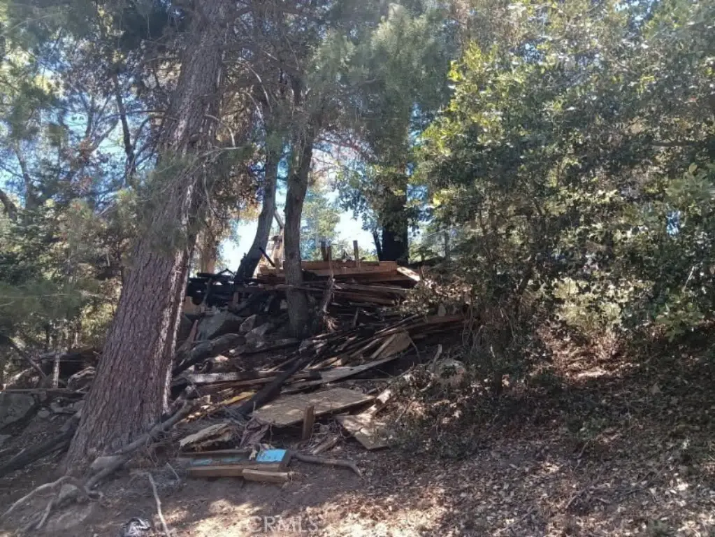 Picture 3