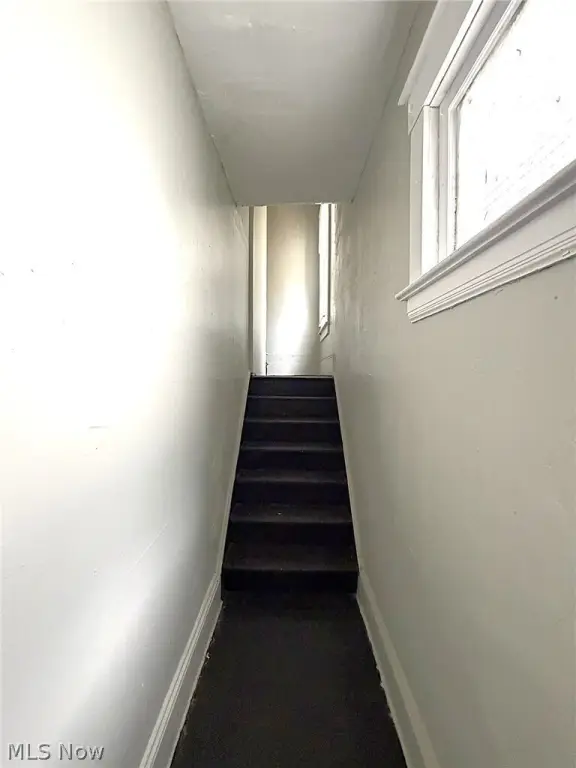 Picture 28