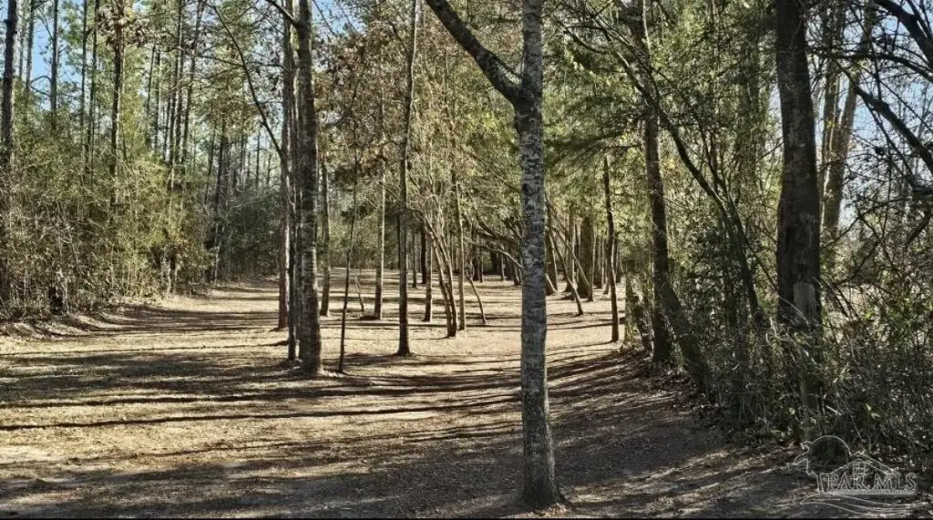 Picture 11