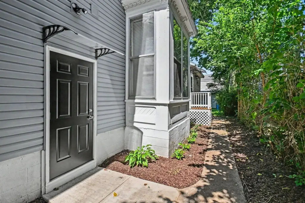 Picture 8