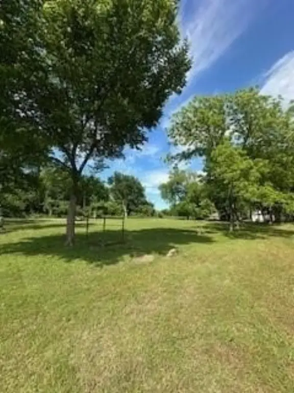 Picture 9