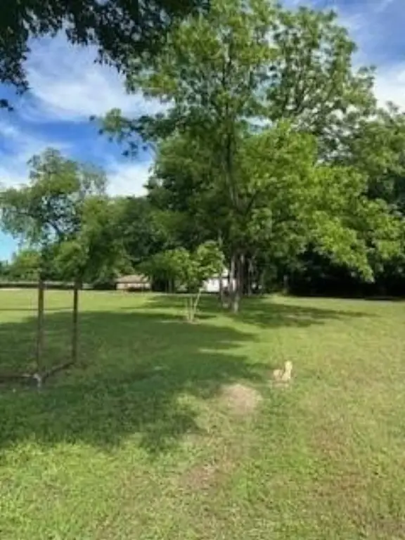 Picture 11