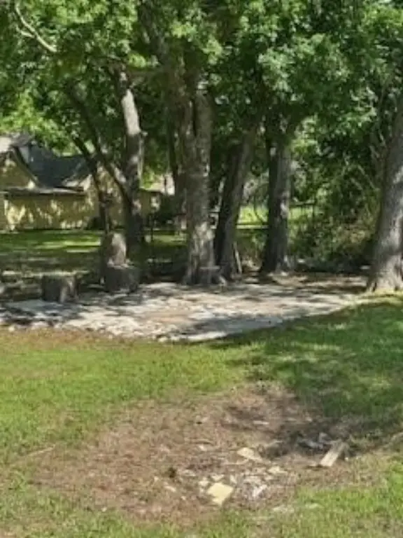 Picture 13