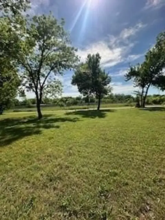 Picture 15