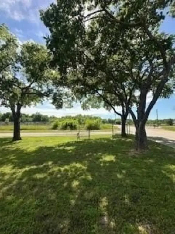 Picture 16