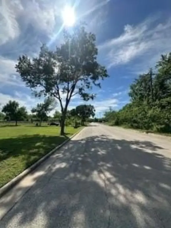 Picture 7