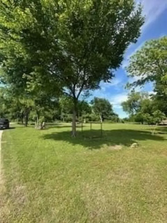 Picture 10