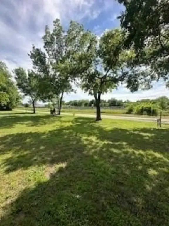 Picture 17