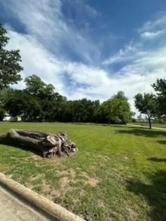 Picture 3