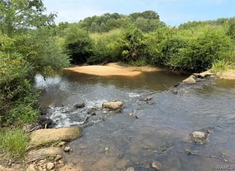 Timber Hunting Land With Creek
