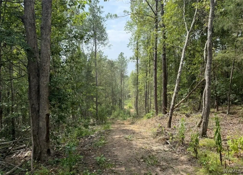 Picture 30