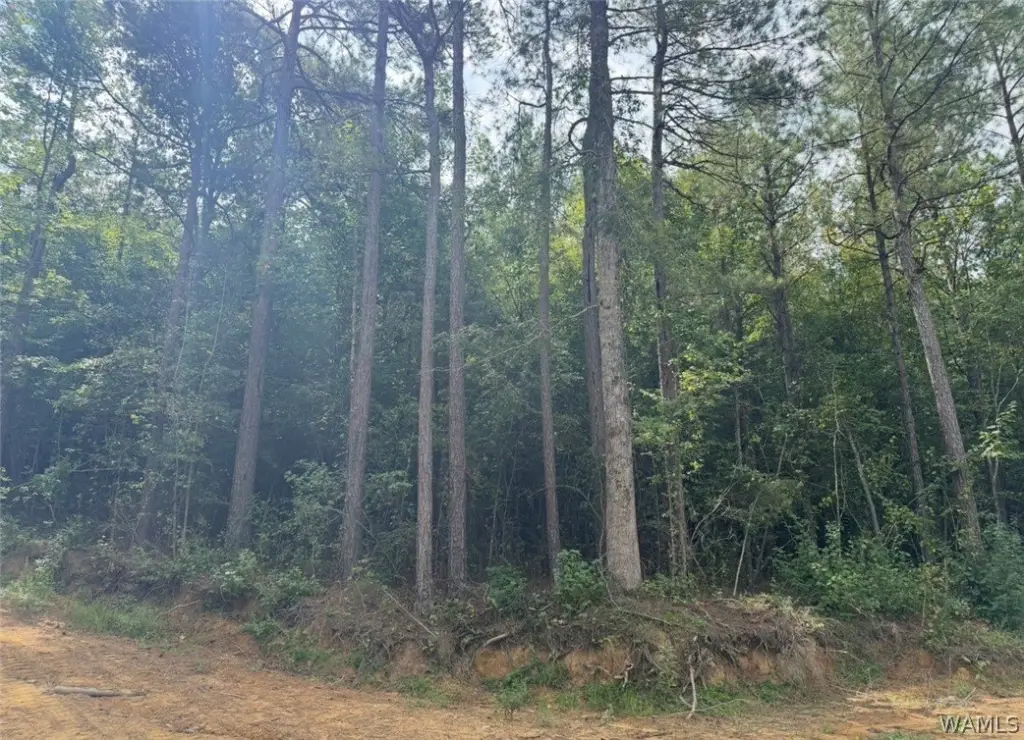 Picture 21