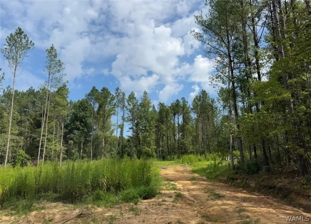 Picture 23