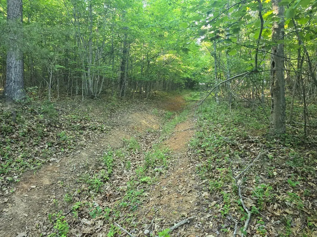 Picture 14