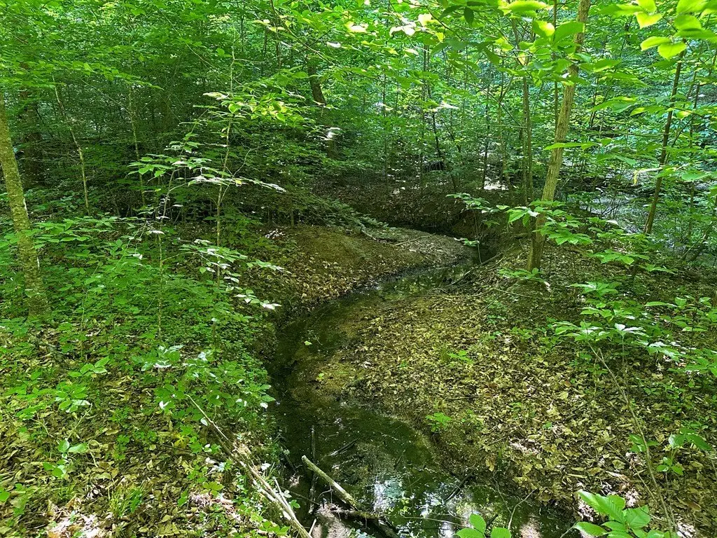 Picture 7