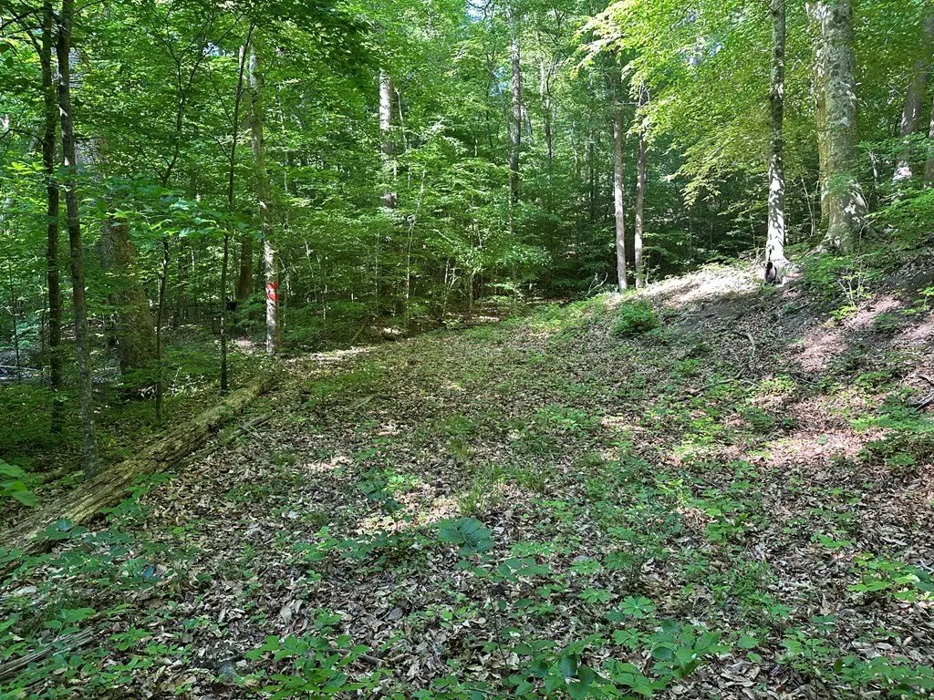Picture 13