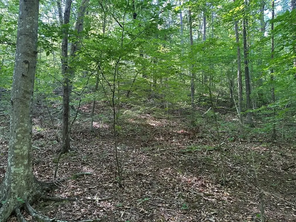 Picture 17