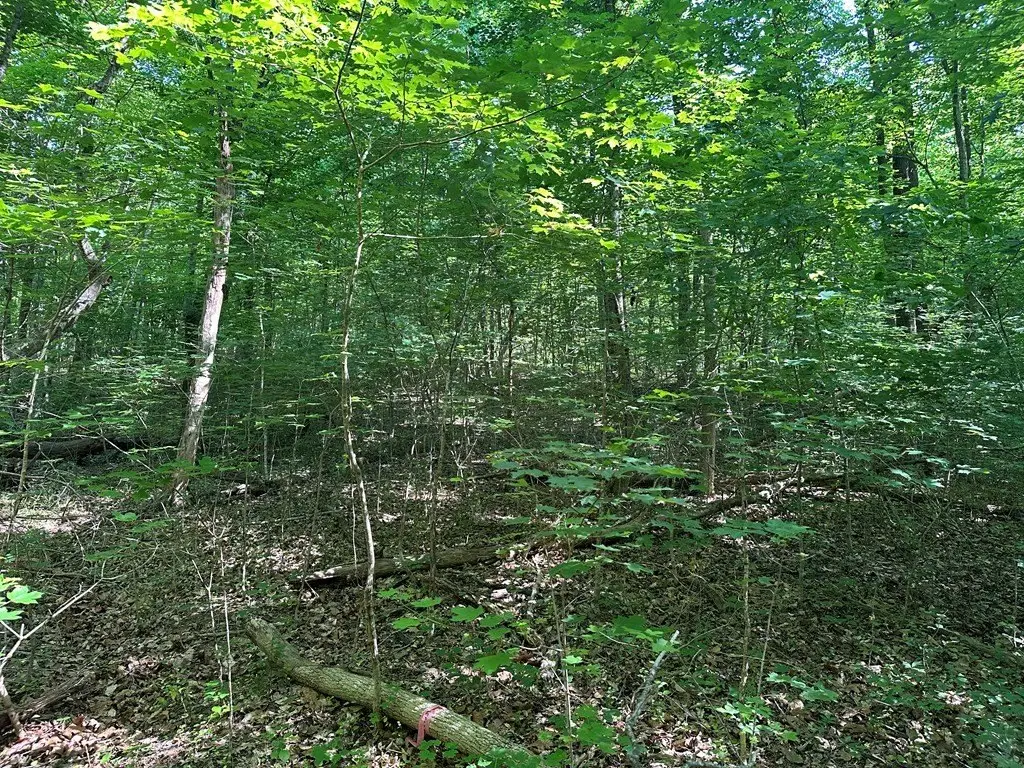 Picture 3