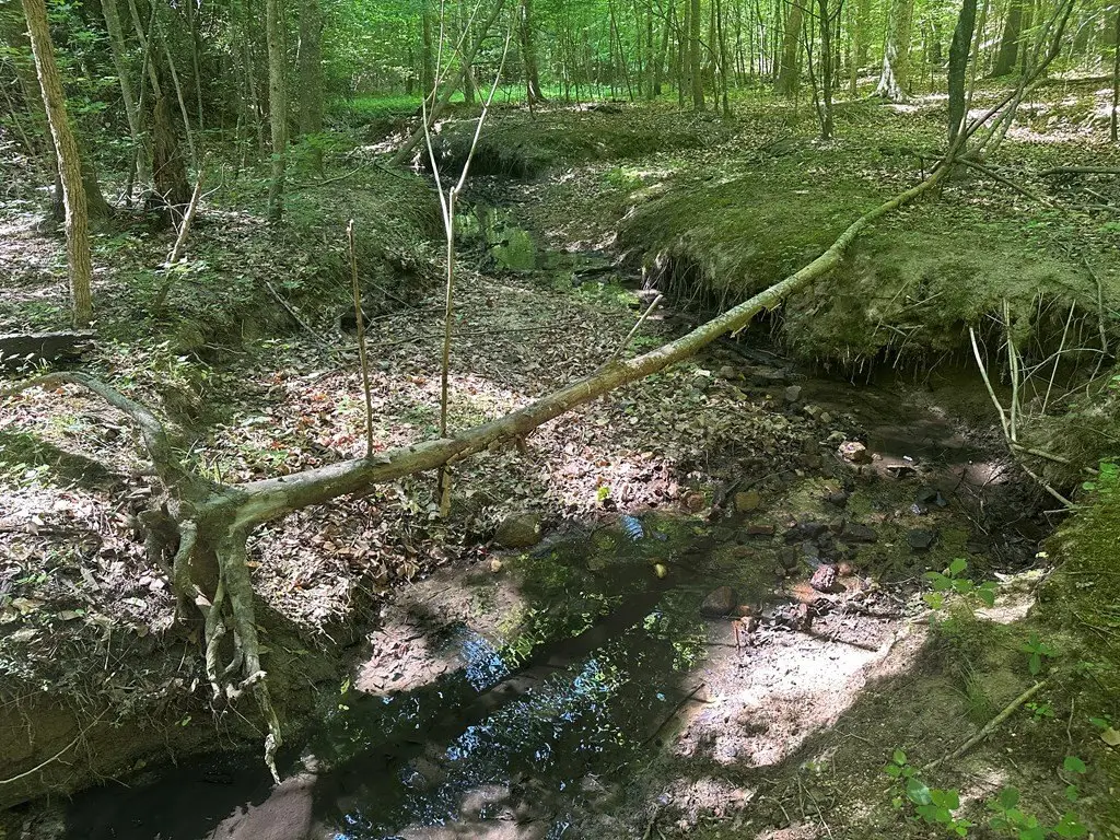 Picture 5