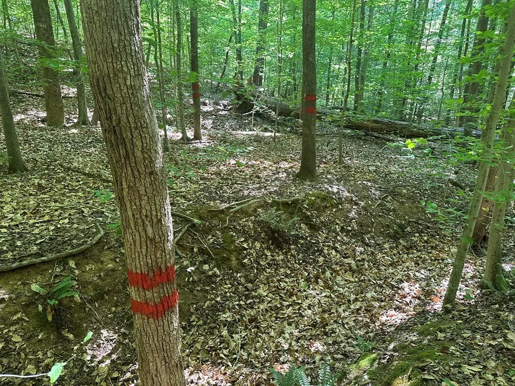 Picture 4