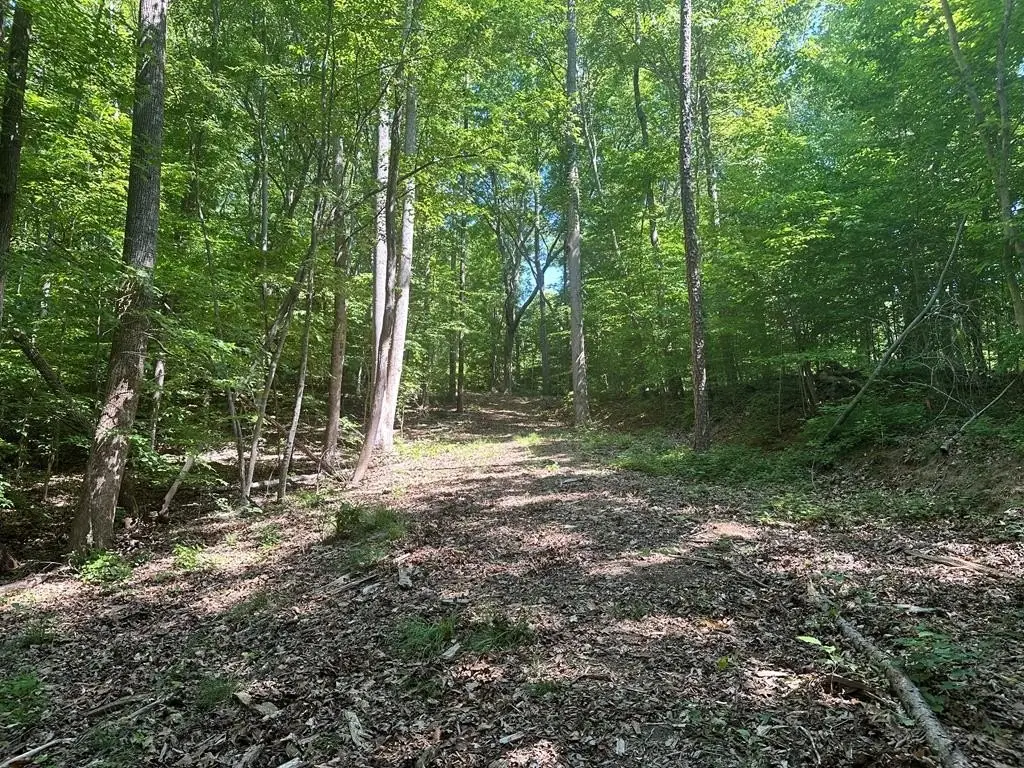 Picture 13