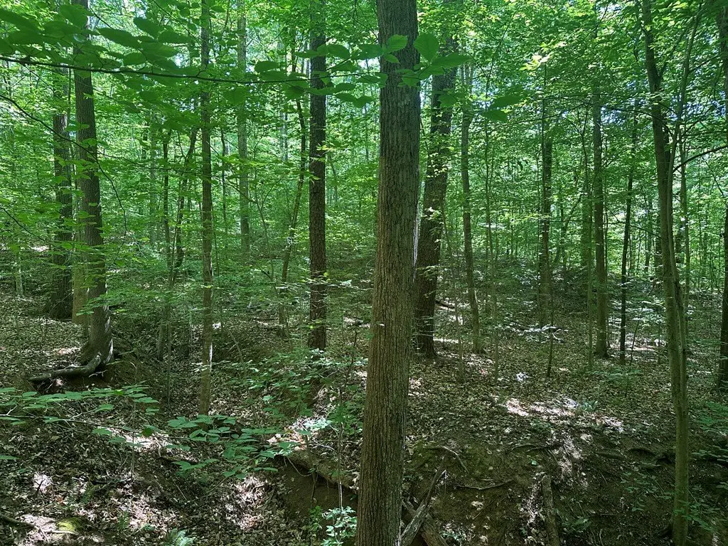 Picture 11