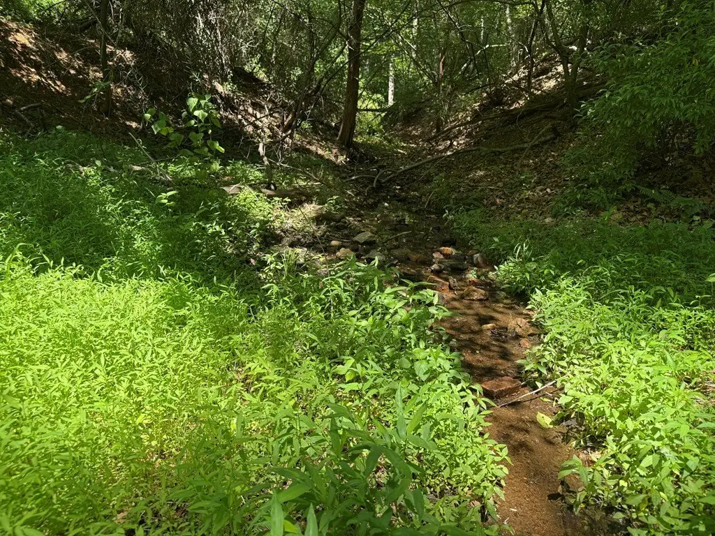 Picture 10