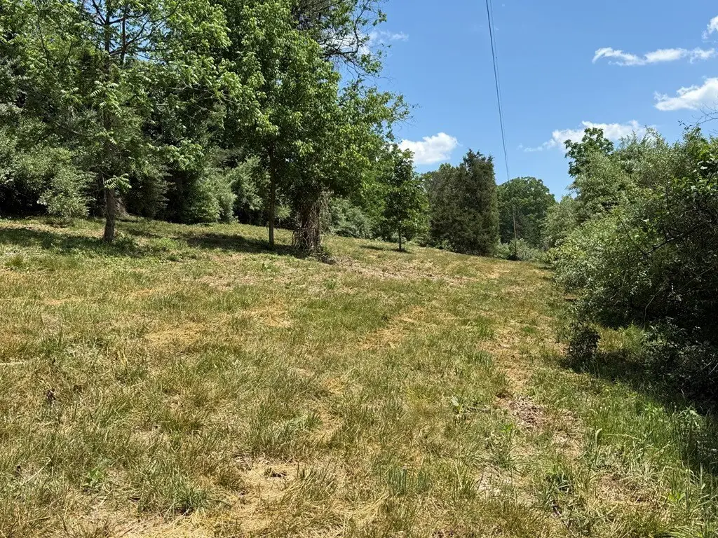 Picture 5