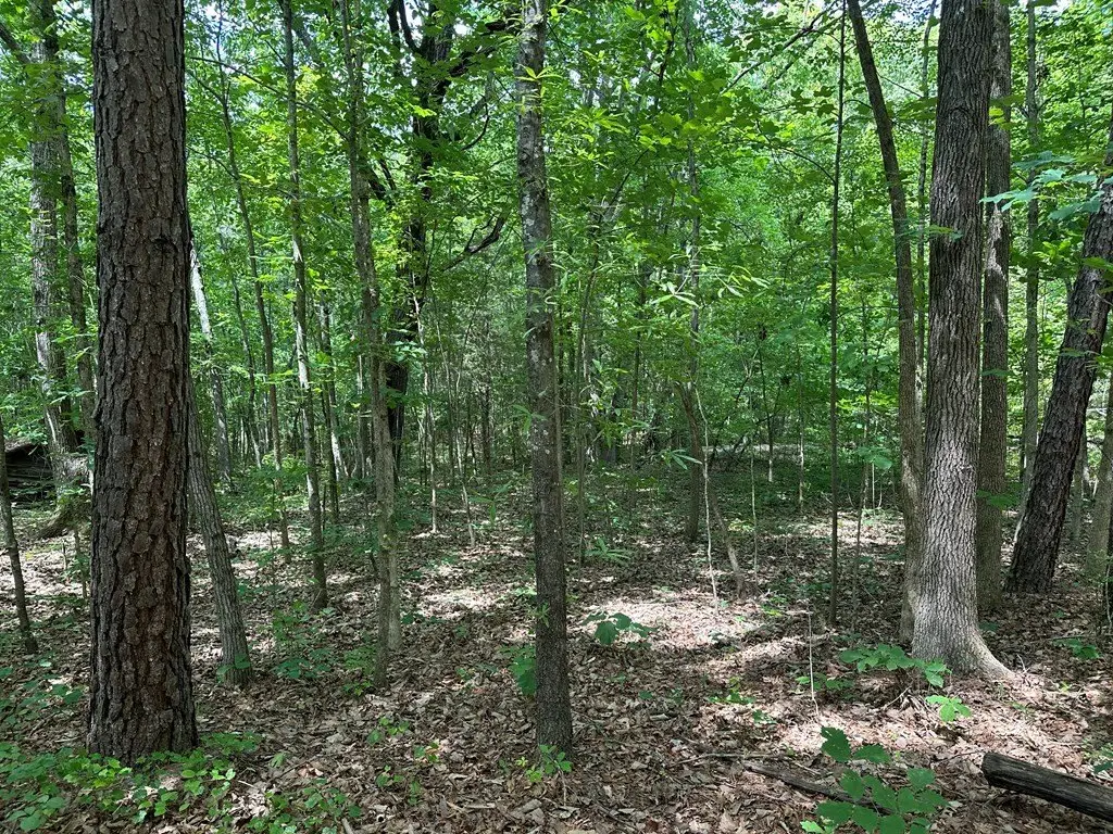 Picture 23