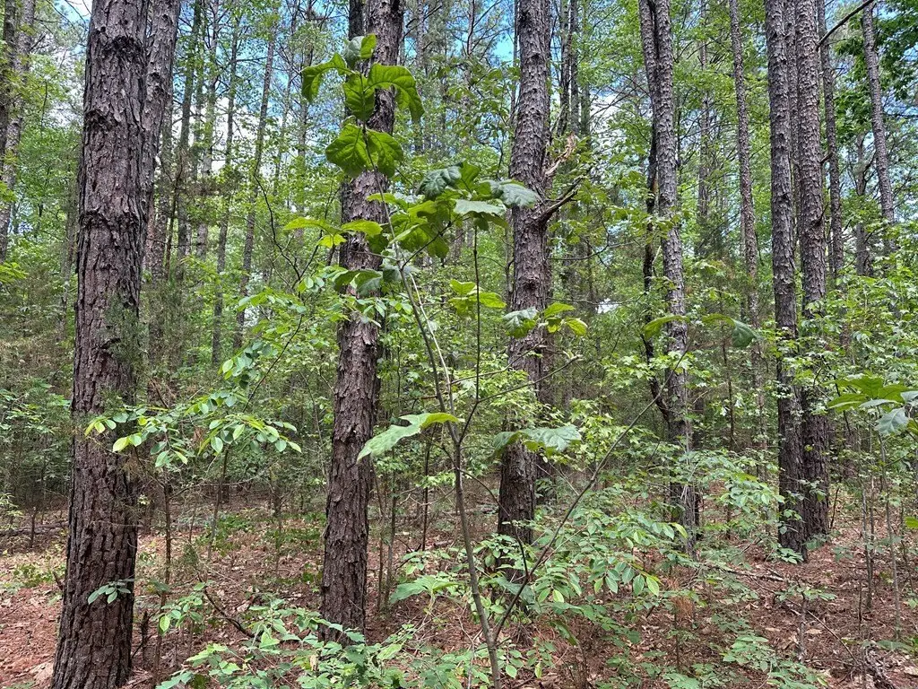 Picture 24
