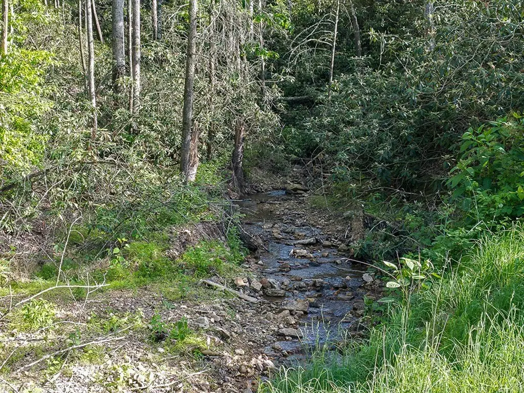 Picture 13