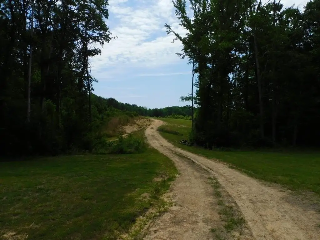 Picture 4