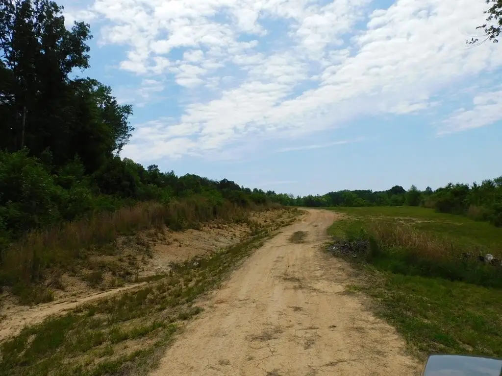Picture 5
