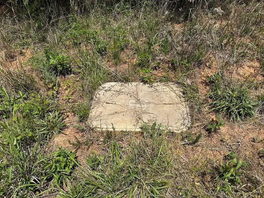 Picture 23