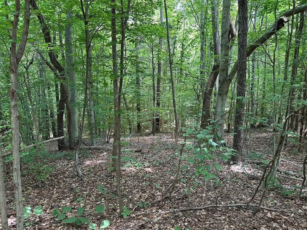 Picture 12