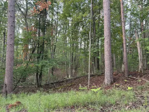 Wooded Lots with Lake Access