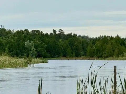 Waterfront Land on Black River