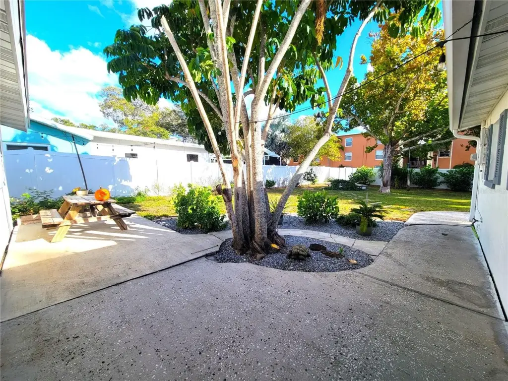 Picture 15