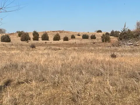 120 Acres Pasture Land Available