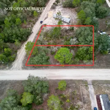 Williston, FL Vacant Land