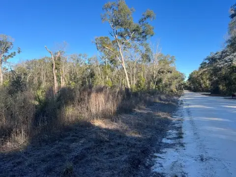 5-Acre Property in Old Town