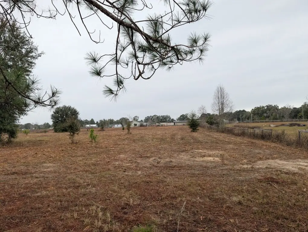 Picture 8