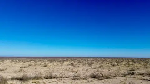 40 Acres West Texas Land