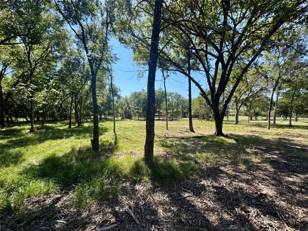 Picture 19