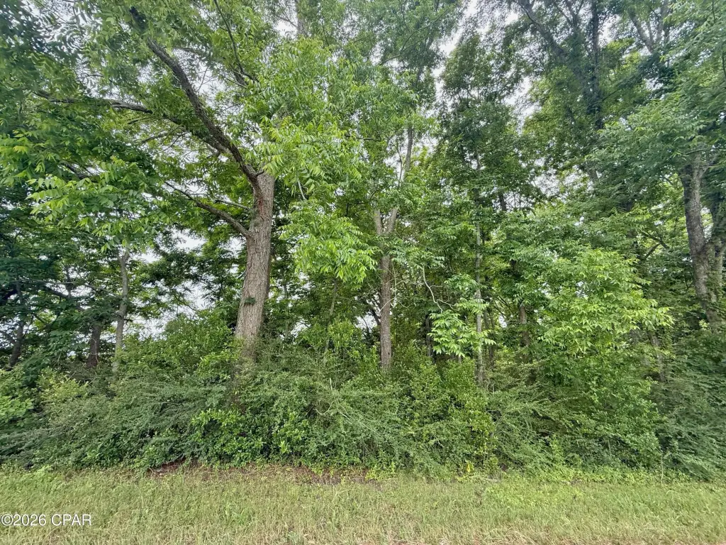 Picture 17