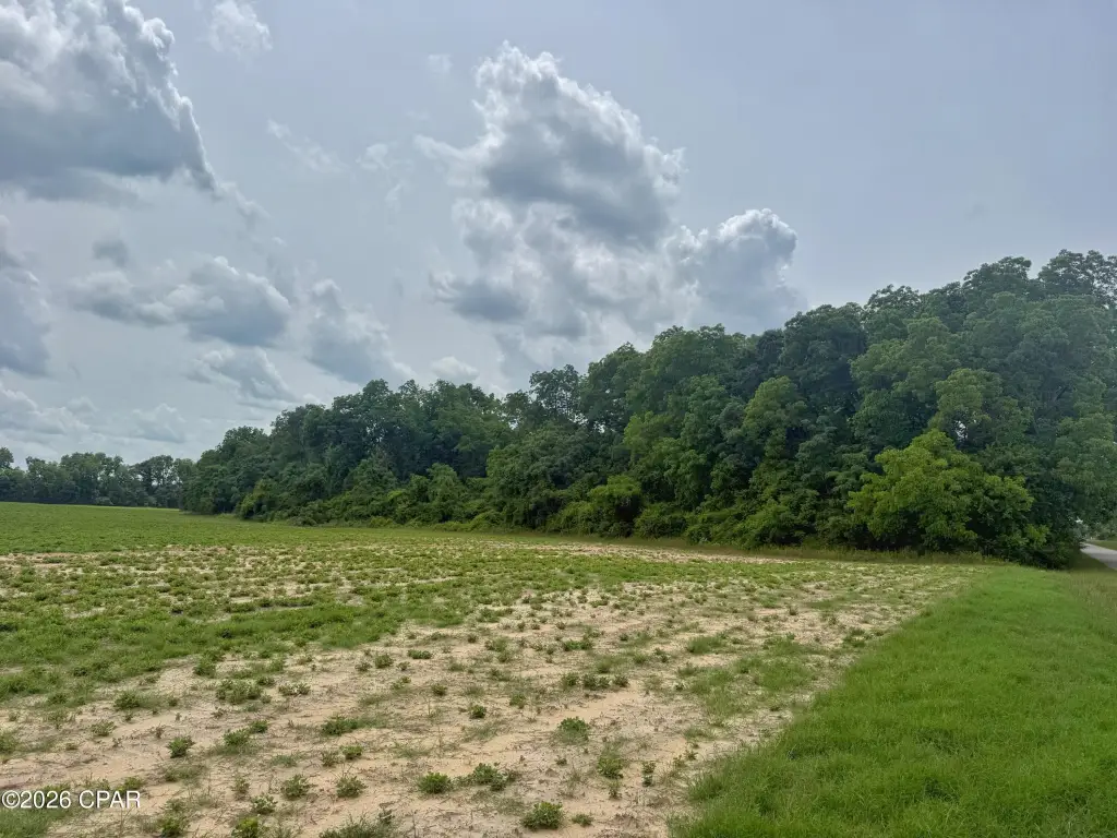 Picture 18